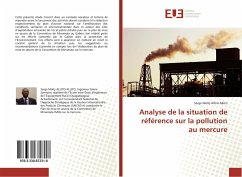 Analyse de la situation de référence sur la pollution au mercure - Allo'o Allo'o, Serge Molly