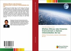 Efeitos Óticos não-lineares transversais a baixas intensidades de luz - Becerra Castro, Emilio Manuel