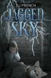 Jagged Sky (eBook, ePUB) - Bild 1