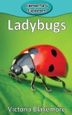 Ladybugs