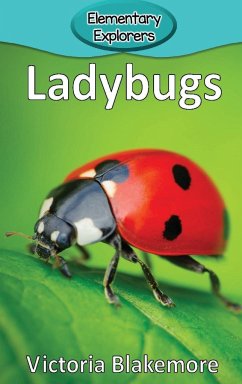 Ladybugs - Blakemore, Victoria