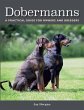 Dobermanns - Bild 1