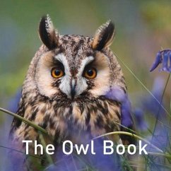 The Owl Book - Russ, Jane