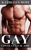 Gay: Con el culo al aire (eBook, ePUB)