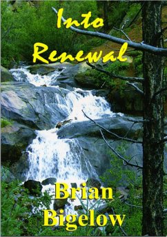 Cover Into Renewal (eBook, ePUB)