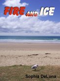 Fire and Ice (eBook, ePUB)