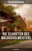 Die Schriften des Waldschulmeisters (Ein Heimatroman) (eBook, ePUB)