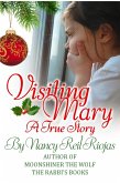 Visiting Mary (eBook, ePUB) Visiting Mary (eBook, ePUB)