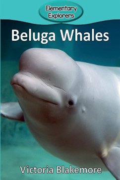 Beluga Whales - Blakemore, Victoria