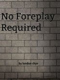 No Foreplay Required (eBook, ePUB)