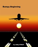 Bumpy Beginning (eBook, ePUB)