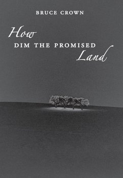 How Dim the Promised Land - Crown, Bruce