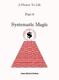 Systematic Magic (eBook, ePUB)