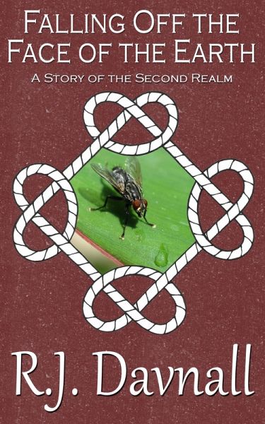 Falling Off the Face of the Earth (The Second Realm, #7) (eBook, ePUB)
