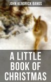 A LITTLE BOOK OF CHRISTMAS (eBook, ePUB)