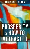 PROSPERITY & HOW TO ATTRACT IT (eBook, ePUB)