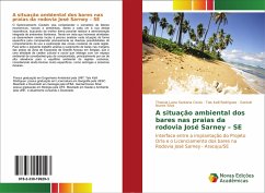 A situação ambiental dos bares nas praias da rodovia José Sarney ¿ SE - Costa, Thassia Luiza Santana;Rodrigues, Tais Kalil;Silva, Genival Nunes