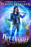 Dreamthief (Fairy World MD, #1) (eBook, ePUB) Dreamthief (Fairy World MD, #1) (eBook, ePUB)
