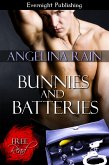 Bunnies and Batteries (eBook, ePUB)