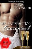 Mr. Satisfaction Guaranteed (eBook, ePUB)