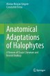 Anatomical Adaptations of Halophytes - Bild 1