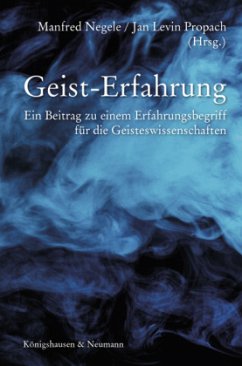 Cover Geist-Erfahrung