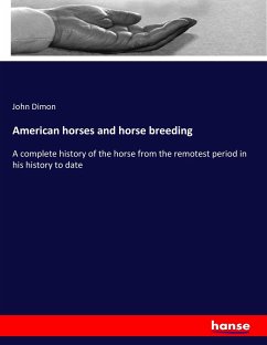 American horses and horse breeding