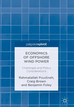 Economics of Offshore Wind Power - Poudineh, Rahmatallah;Brown, Craig;Foley, Benjamin