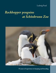 Rockhopper penguins at Schönbrunn Zoo - Fessl, Ludwig