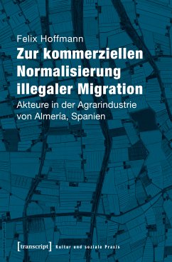 Zur kommerziellen Normalisierung illegaler Migration (eBook, PDF) - Hoffmann, Felix