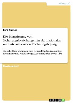 Die Bilanzierung von Sicherungsbeziehungen in der nationalen und internationalen Rechnungslegung (eBook, PDF)