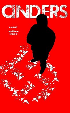 Cover Cinders (eBook, ePUB)