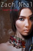 Temptation (eBook, ePUB)