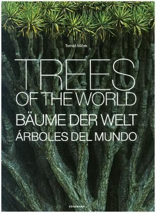 Micek, Tomas Micek, Tomas