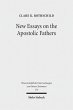 New Essays on the Apostolic Fathers... - Bild 1
