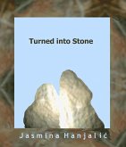 Turned into Stone (eBook, ePUB) Turned into Stone (eBook, ePUB)