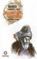 Mesneviden Secmeler - Celaleddin Rumi, Mevlana