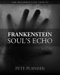 Frankenstein Soul's Echo (Book 2 of 3)... - Bild 1