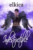 Indestructible (eBook, ePUB) Indestructible (eBook, ePUB)