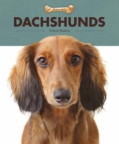 Dachshunds - Bodden, Valerie