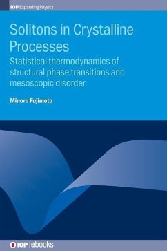 Solitons in Crystalline Processes - Fujimoto, Minoru