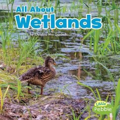 All about Wetlands - Gardeski, Christina Mia