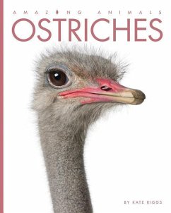 Ostriches - Riggs, Kate