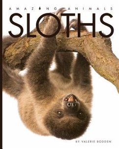 Sloths - Bodden, Valerie