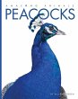 Peacocks - Bild 1
