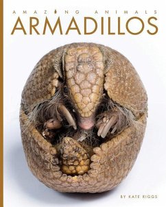 Armadillos - Riggs, Kate