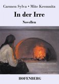 In der Irre In der Irre