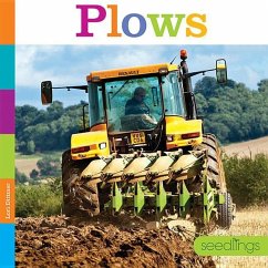 Plows - Dittmer, Lori