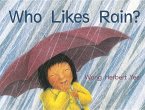Who Likes Rain? Big Book