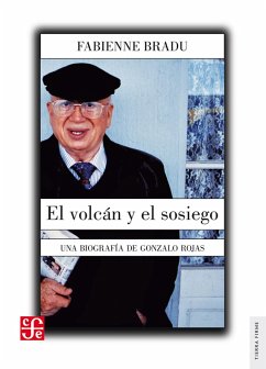 Cover El volcán y el sosiego (eBook, ePUB)